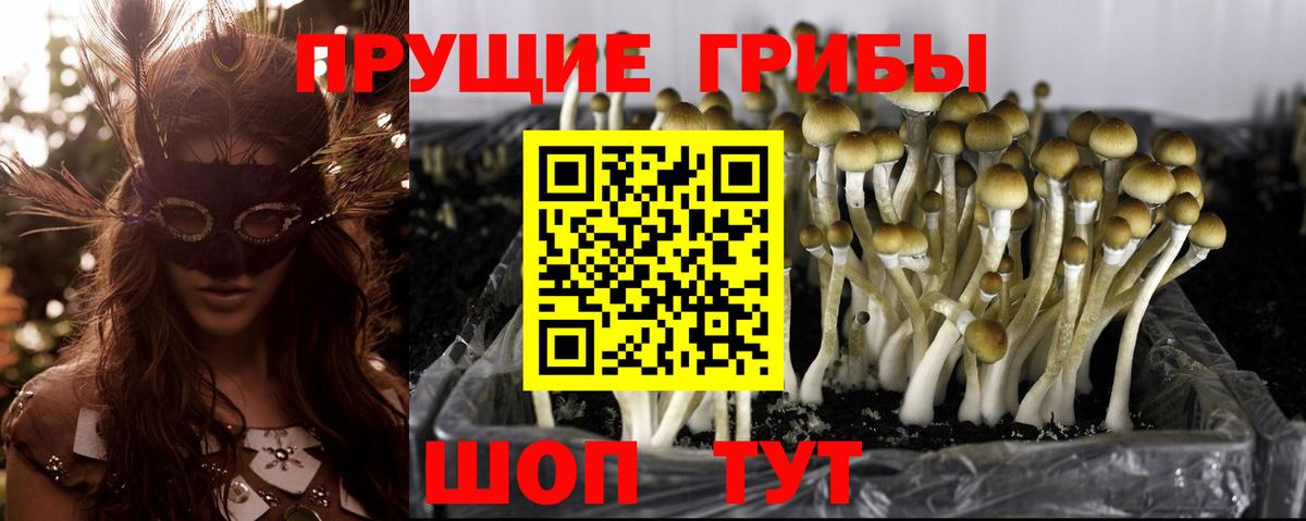 Псилоцибиновые грибы MAGIC MUSHROOMS  Галлюциногенные грибы GOLDEN TEACHER  Вход с VPN  Нарьян-Мар 